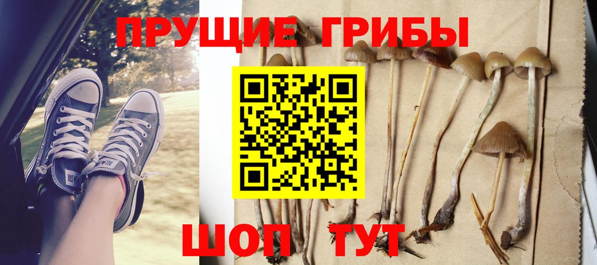 даркнет сайт  Галлюциногенные грибы Psilocybine cubensis  Вход с VPN  Губкин 