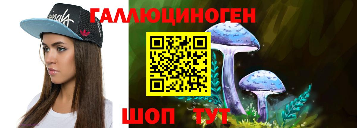 Галлюциногенные грибы MAGIC MUSHROOMS Губкин
